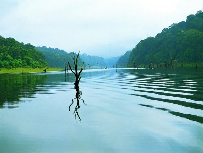 Thekkady